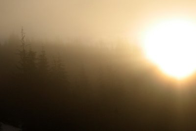 g6/01/530301/3/73777380.pqhBcsdq.jpg