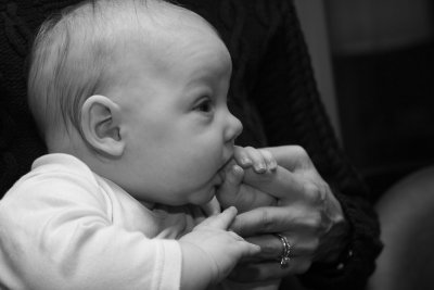 IMG_6083.jpg
