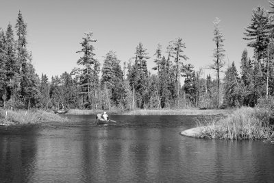 IMG_8779.jpg