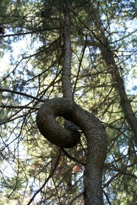 IMG_8797.jpg