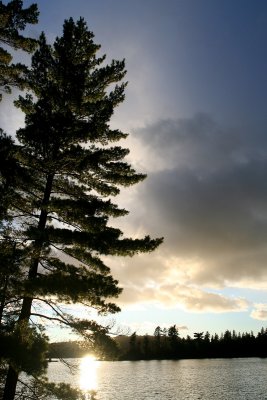 IMG_8922.jpg