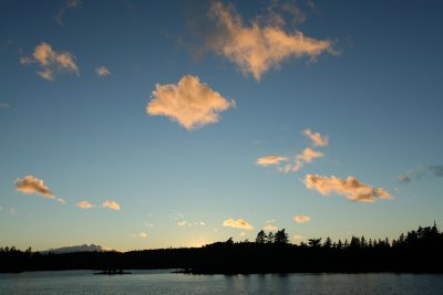 IMG_8929.jpg
