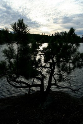 IMG_8968.jpg