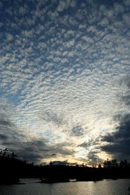 IMG_8971.jpg