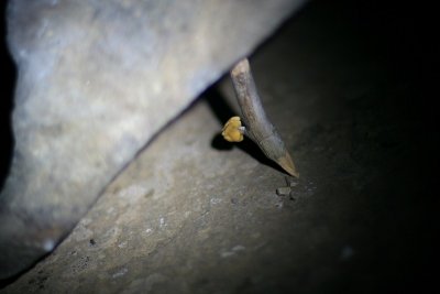 IMG_9004.jpg