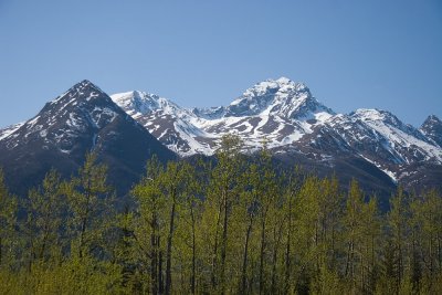 IMG_7305b.jpg