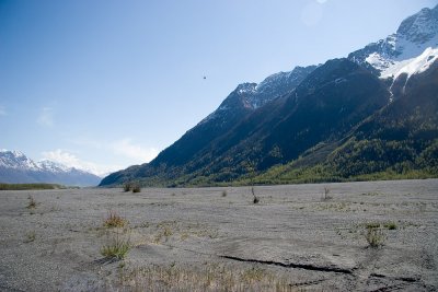 IMG_7311b.jpg