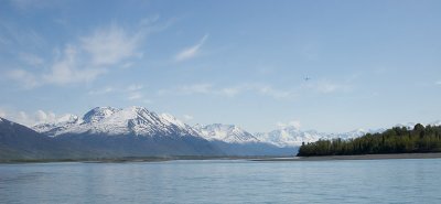 IMG_7320b-c.jpg