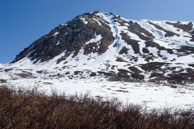 IMG_7468b.jpg