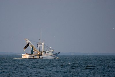 IMG_2326b.jpg
