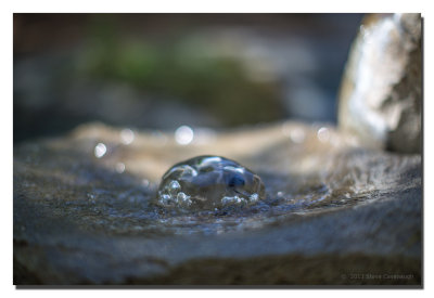 20130501_3a7b2158.jpg