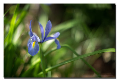 20130501_3a7b2152_1.jpg