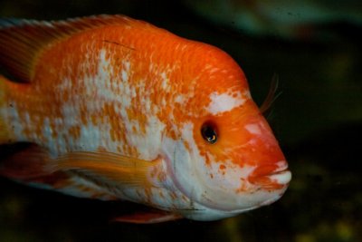 Aquarium zoo- 02021807.jpg