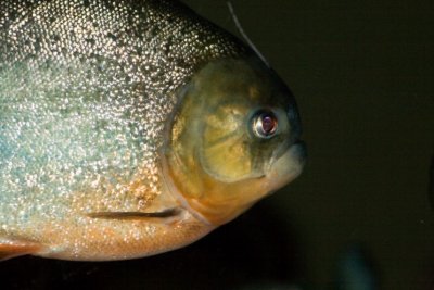 Aquarium zoo- 03021807.jpg