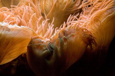 Aquarium zoo- 06021807.jpg