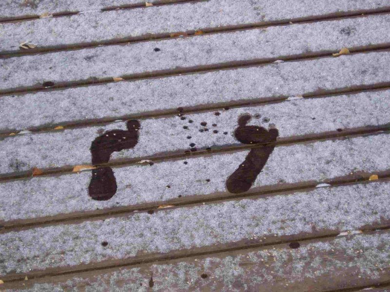 standing on the deck after the first snow