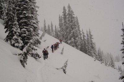 up through the snow