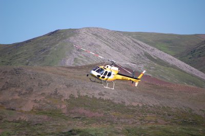 Coastal Helicopter N203CH