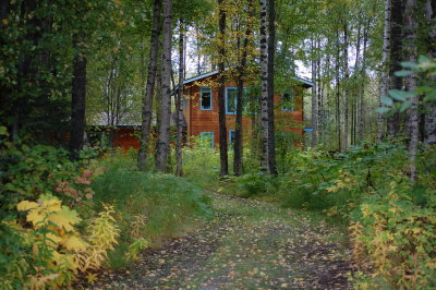 Driveway to the house