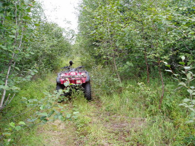 4-wheeler in the bush