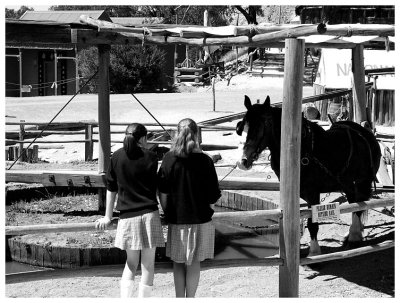 School expedition to the Sovereign Hill