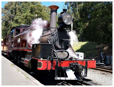 All aboard, Puffing Billy is departing