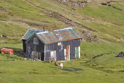 Old house outside Torshavn