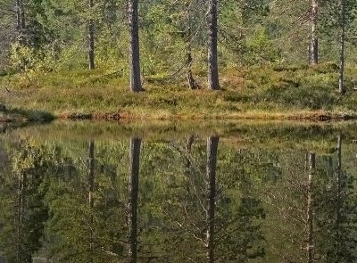 Mirror, Lifjell, Telemark, Norway