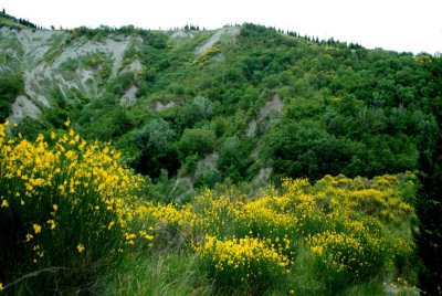 DSC_0062.JPG