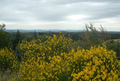 DSC_0069.JPG