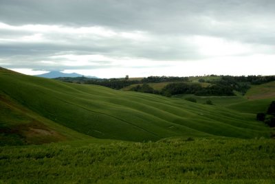 DSC_0125.JPG