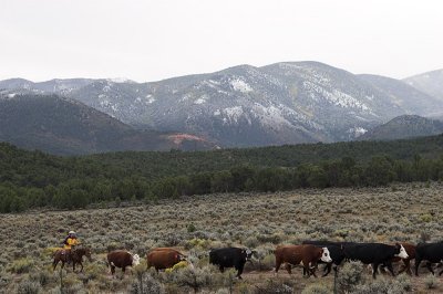 Utah