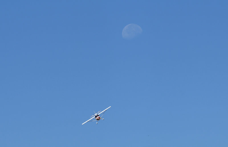 Aerobat with the moon in the background