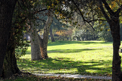 Lower Bidwell Park in Mid-Fall