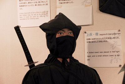Ninja battle dress