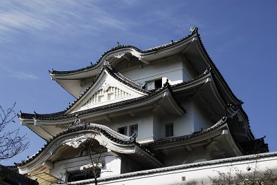 Ueno castle