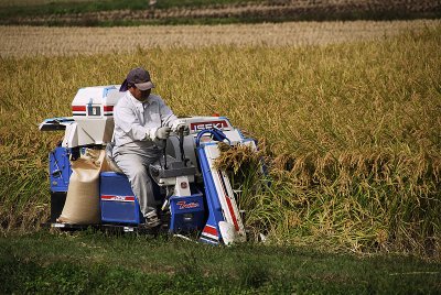 Harvest with min combine
