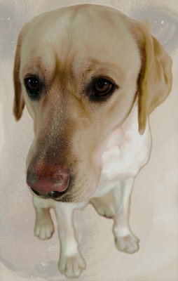DSC_5896_2em.jpg