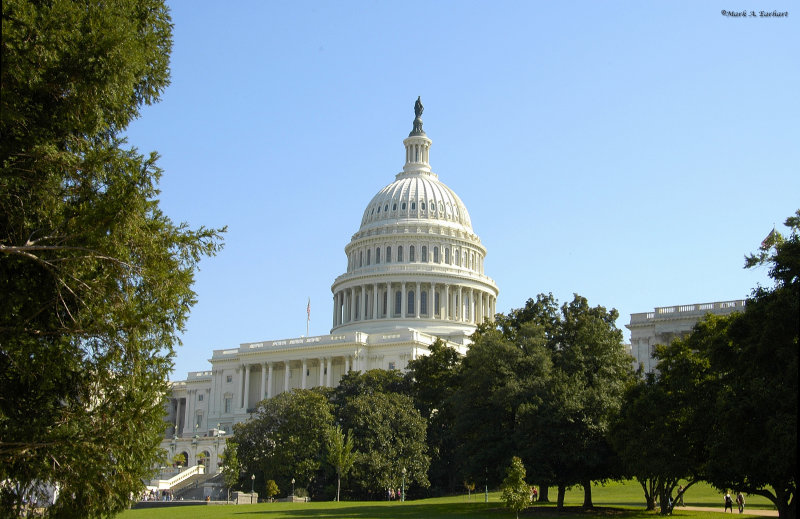Sunny Day For A Capitol View