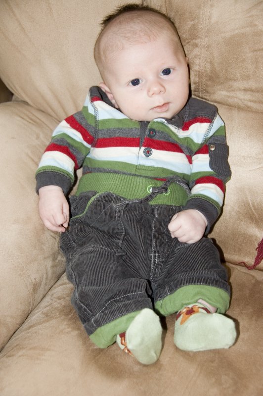 6 week old portrait