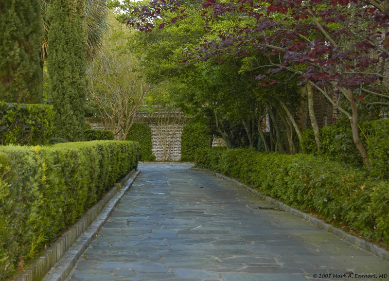 Southern Driveway