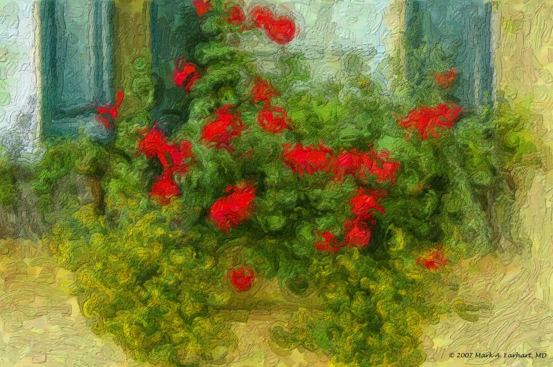 Variations On A Theme - Impasto (Day 2)