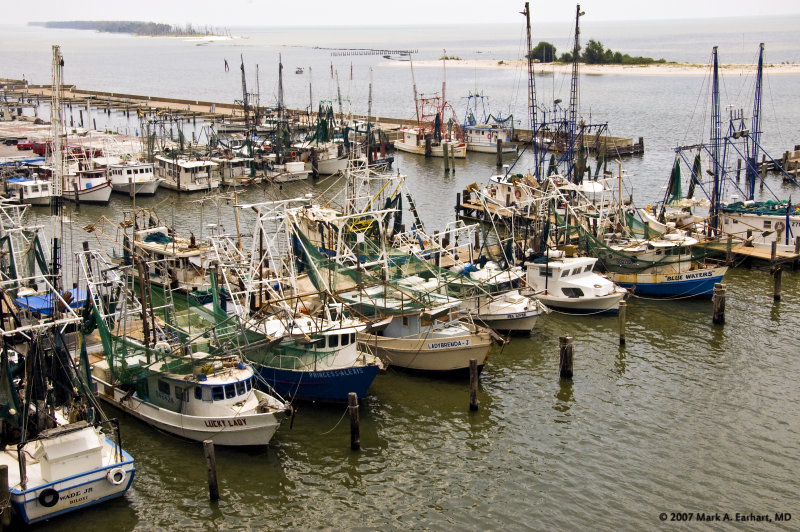 One Particular Harbor