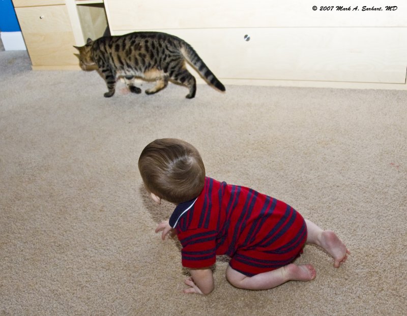 Stalking Big Game