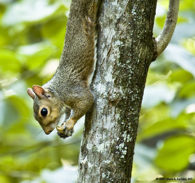 Just Hangin Around