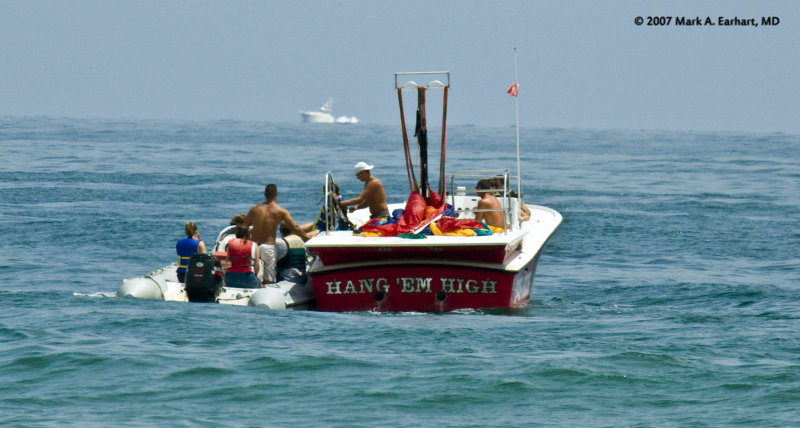 Hang Em High