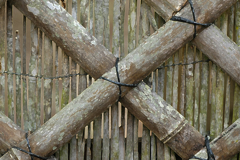Xs