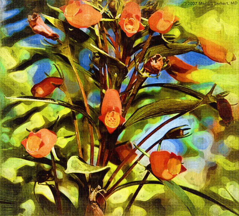 Oil Floral