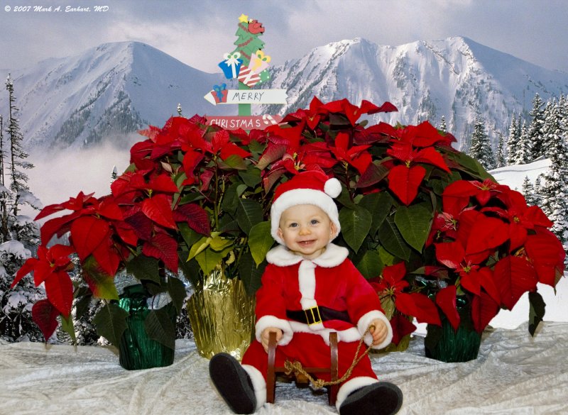 Sleigh Ride