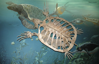 Giant Turtle
